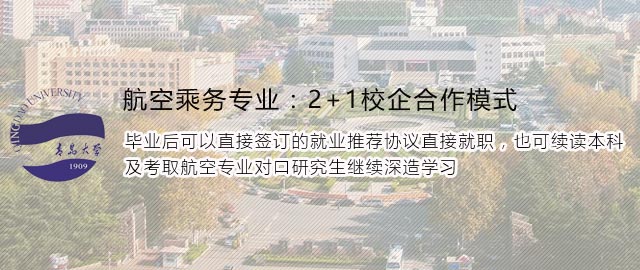 青岛大学应用技术学院